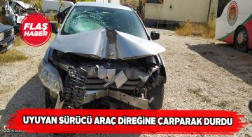 Uyuyan sürücü araç direğine çarparak durdu