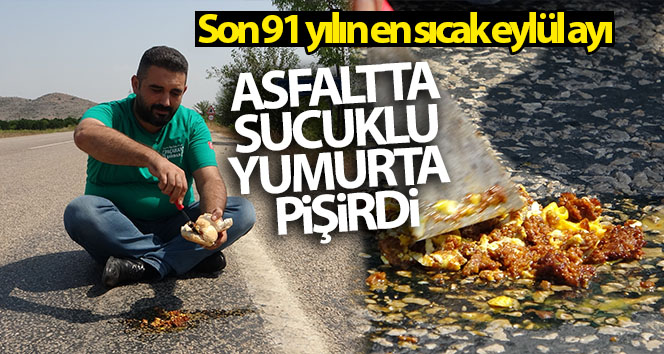 Asfalt üzerinde sosisli pişmiş yumurta