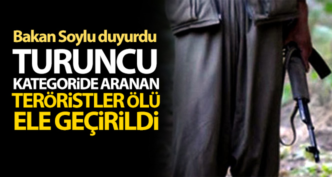 Bakan Soylu açıkladı: Portakal kategorisinde aranan teröristler ölü ele geçirildi