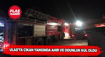 Ulaş ilçesinde gece yarısı yangın çıktı