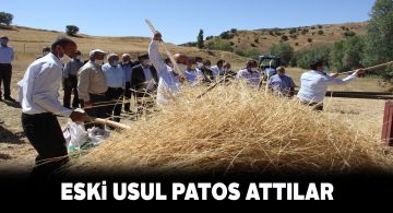 Müdür Seyit Yıldız hasat sonlandırma şenliğine katıldı