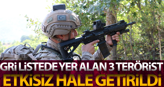 Hatay’da etkisiz hale getirilen 3 teröristin gri kategoride arandığı belirlendi.