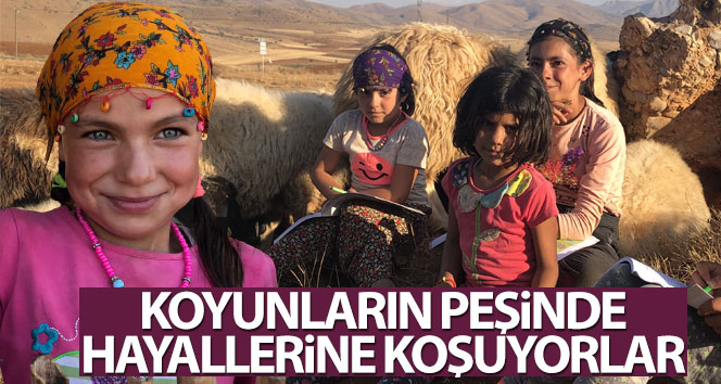 Hayallerini koyunların peşinden koşarlar