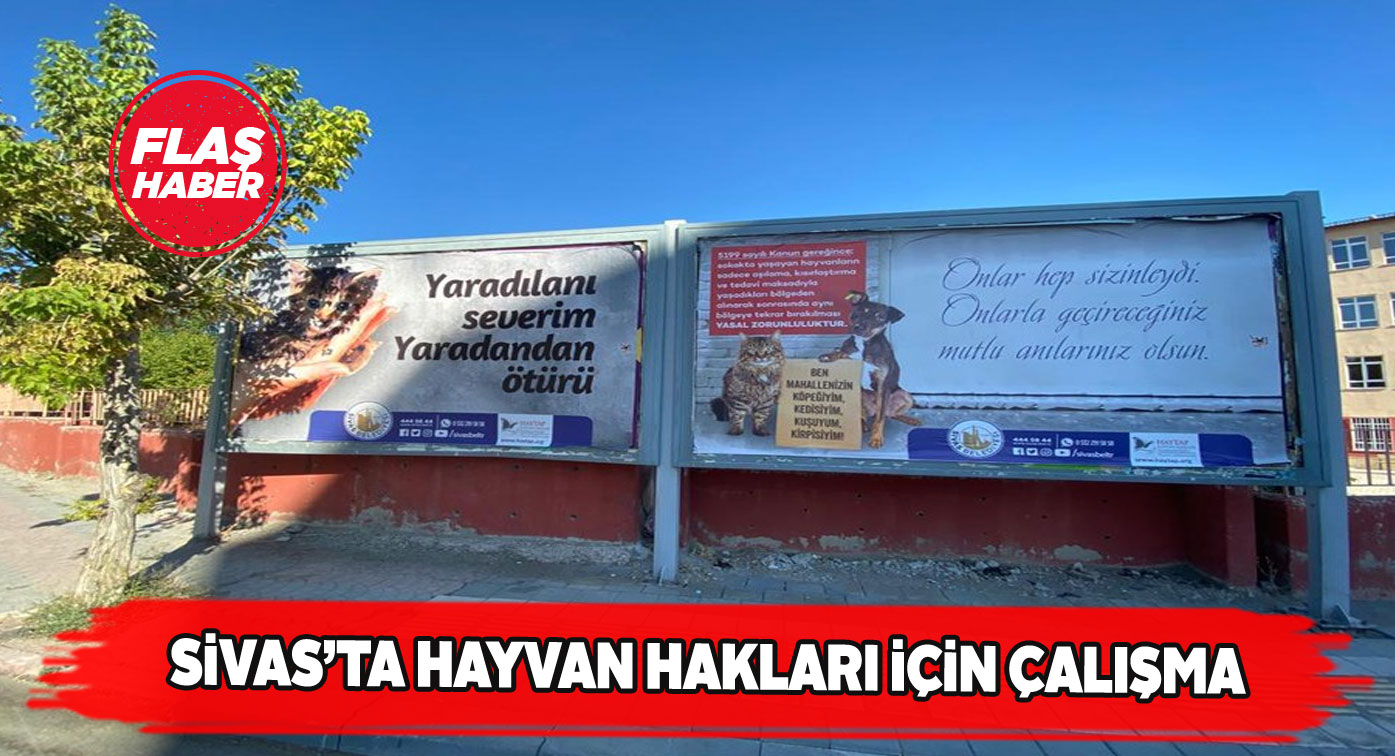 Sivas’ta şehir çevresine hayvan hakları ilanları asıldı
