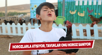 Horoz sesi çıkaran genç herkesi şaşırtıyor