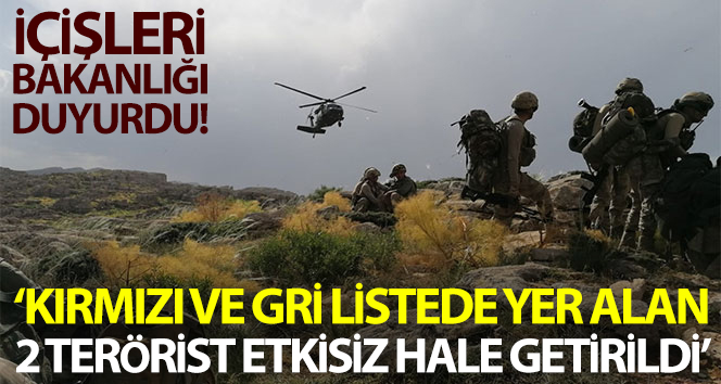 İçişleri Bakanlığı: ‘Yıldırım-4 Munzur Kutusu Operasyonu kapsamında 2 terörist etkisiz hale getirildi’
