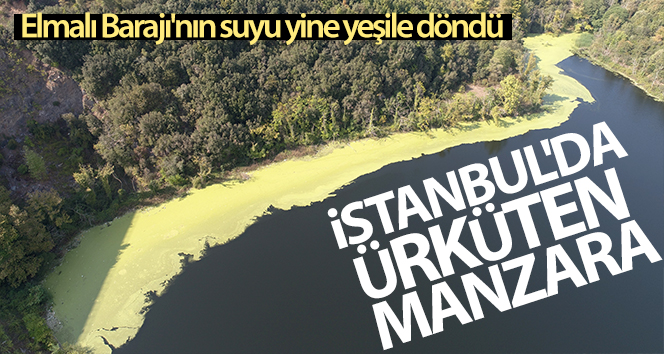 İstanbul’da korkunç manzara; Elmalı Barajı’nın suyu yeniden yeşerdi