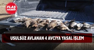 Yıldızeli ve Şarkışla’da kaçak avcı operasyonları sürüyor