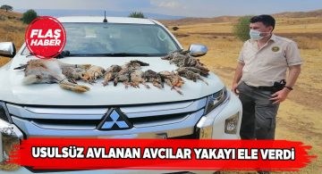 Sivas’ın 3 ilçesinde 11 kaçak avcıya işlem yapıldı