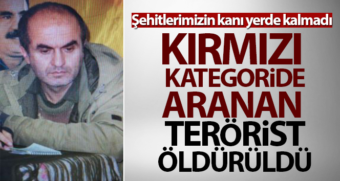 Kırmızı kategoride aranan örgütün sözde Botan saha görevlisi öldürüldü