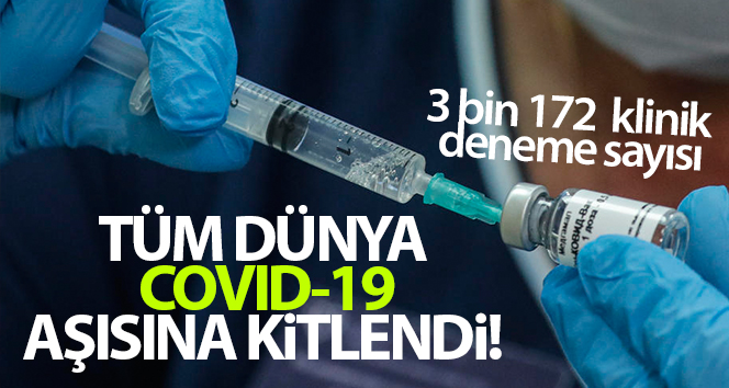Koronavirüs için geliştirilecek aşıya tüm dünya kilitlendi