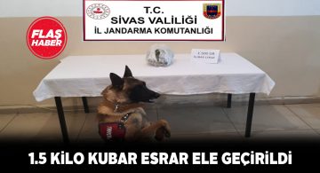 Gürün’de Jandarma’dan kubar esrar vurgunu!