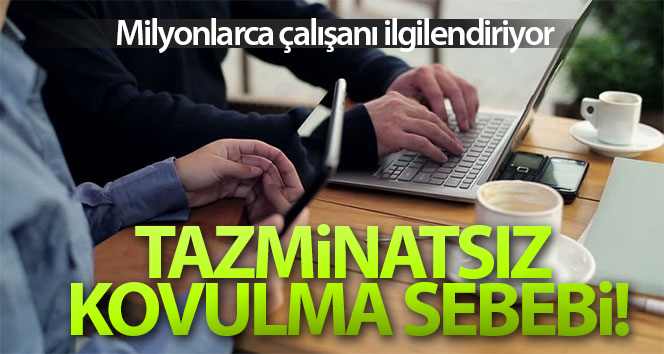 Meslektaşına ‘hayvan’ dediğinde kovuldu