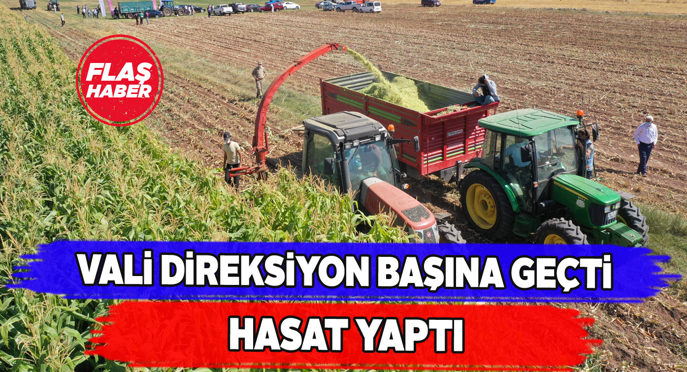 Sivas Valisi Ayhan bizzat mısır hasadı yaptı