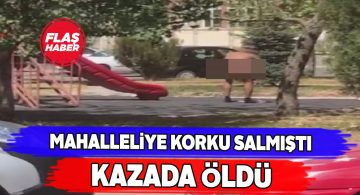 Parkta çıplak dolaşan şahıs kazada hayatını kaybetti