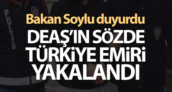 Son Dakika: Dease Türkiye’nin sözde emiri yakalandı ve tutuklandı
