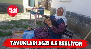 85 yaşındaki kadın tavuklarını böyle besliyor!