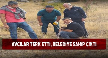Gürün İtfaiyesi avcı köpeğini kayalıklardan kurtardı