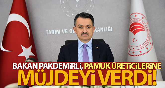 Bakan Pakdemirli, pamuk üreticilerine müjde verdi