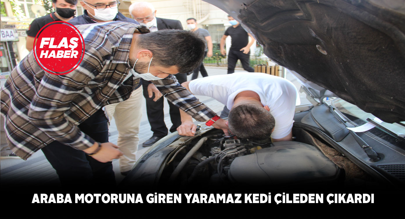 Araba motoruna giren kedi, yardım edenleri bezdirdi