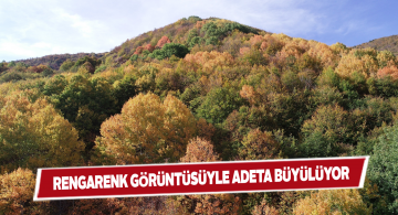 Sonbahar Dipsiz Göl Şelalesini canlandırdı