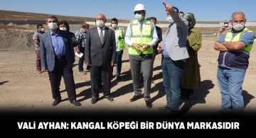 Sivas Kangal Köpeği Üretim Merkezi açılışına geri sayım