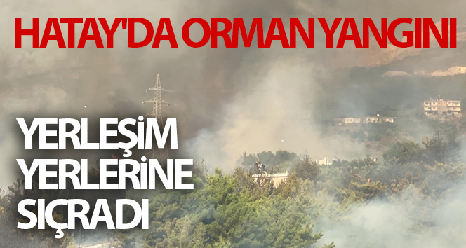 Hatay’da orman yangını yerleşim yerlerine sıçradı