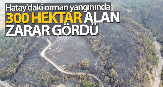 Hatay’da orman yangınında 300 hektar arazi hasar gördü