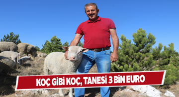 Sivas’ta hayvancılık anlamında bir ilk gerçekleşti