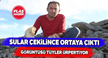 Köy mezarlığındaki insan kemikleri yer yüzüne çıktı