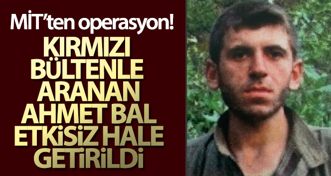 Interpol tarafından aranan PKK’lı teröriste MİT operasyonu kırmızı bültenle