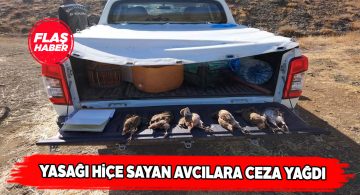 Sivas’ta kaçak avcılara operasyon