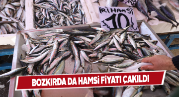Karadeniz hamsisi piyasayı gevşetti