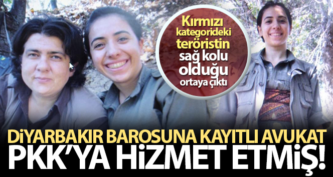Kırmızı kategorideki teröristin sağ kolu, Diyarbakır barosuna kayıtlı avukat