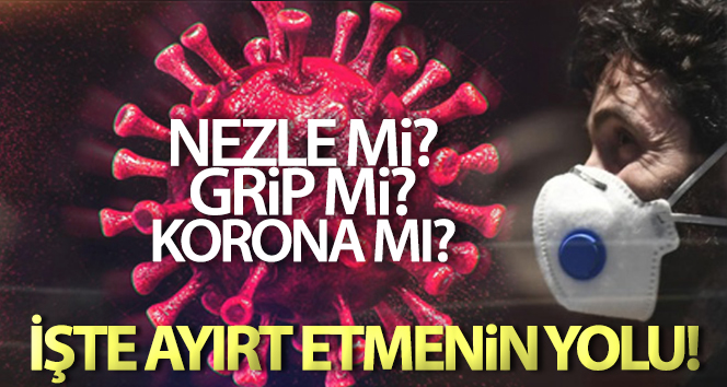 Koronavirüsü soğuk algınlığı, grip ve alerjilerden ayırmanın yolları