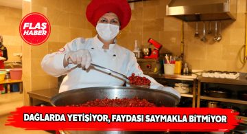 Kış aylarının gözdesi kuşburnu!