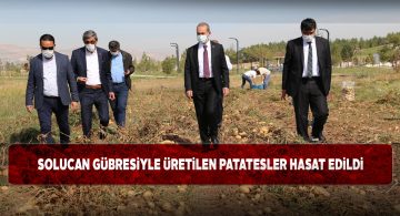 Süt Üretim Tesisi’nde patates hasadı