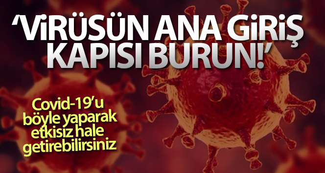Prof.Dr.Oğuztürk: ‘Virüsün ana giriş kapısı burun’