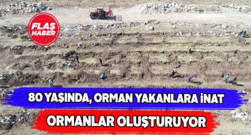 Orman sevdalısı Sivaslı amcadan sabotaj yapanlara beddua