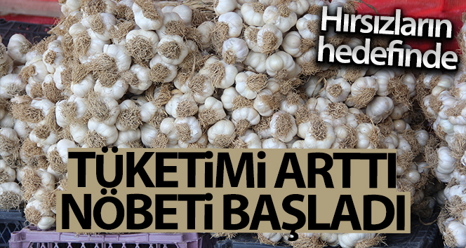 Salgın nedeniyle tüketimi artan Taşköprü sarımsağı hırsızların hedefi oluyor