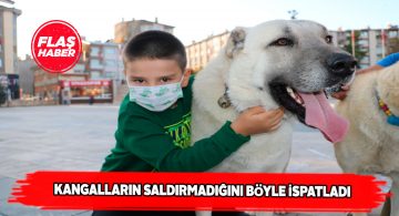 Sivas’ın en savaşçı kangalları çocuklarla buluştu