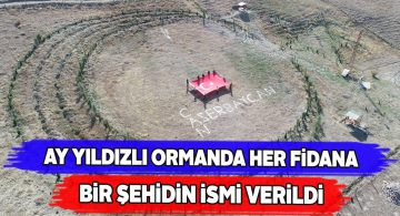 Sivas’ın Çongar köyünde şehitler için fidan dikildi