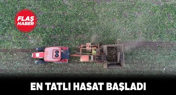 Sivas’ta şeker pancarlarının hasat mevsimi geldi