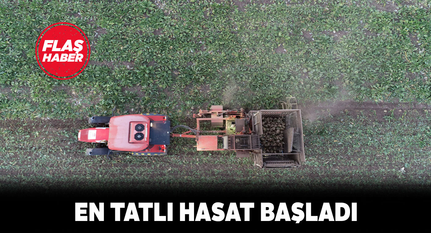 Sivas’ta şeker pancarlarının hasat mevsimi geldi