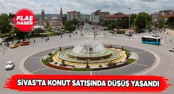 Eylül ayında Sivas’ta konut satışı 885’de kaldı