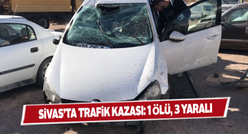 Kangal ilçesinde tarlaya uçan araçta acı bilanço