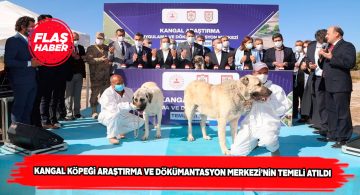 Kangal köpekleri için dev bir tesis daha kuruluyor