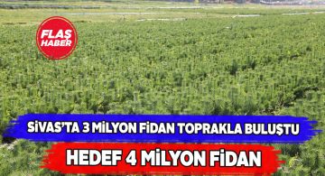 Vali Ayhan Orman İşletme Müdürlüğü’nü ziyaret etti