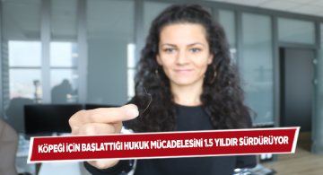 Veterinerde ölen köpeğinin hakkı için mücadele veriyor