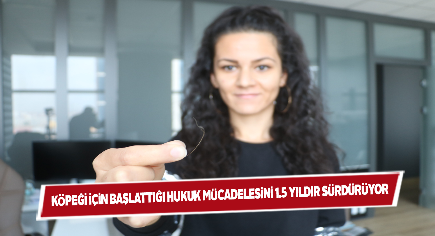 Veterinerde ölen köpeğinin hakkı için mücadele veriyor